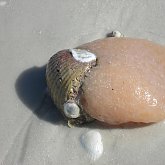 Marco Island - whatever that is ...